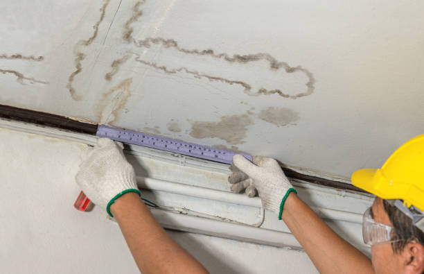 24/7 Emergency Structural Drying experts in South Rockwood, MI