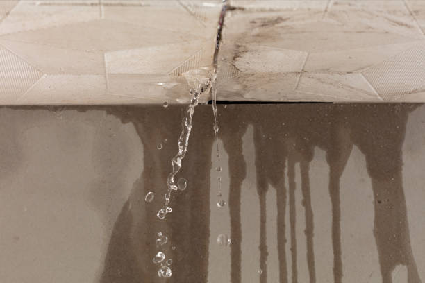 Professional Structural Drying technician working in South Rockwood, MI